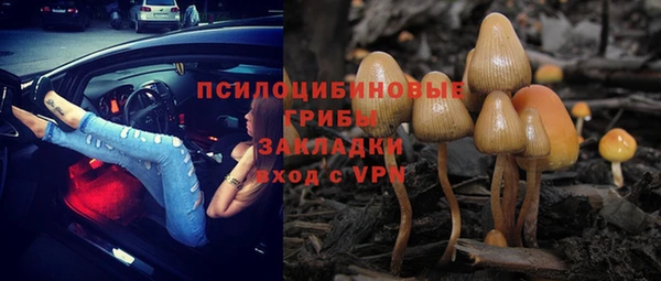 ешки Армянск